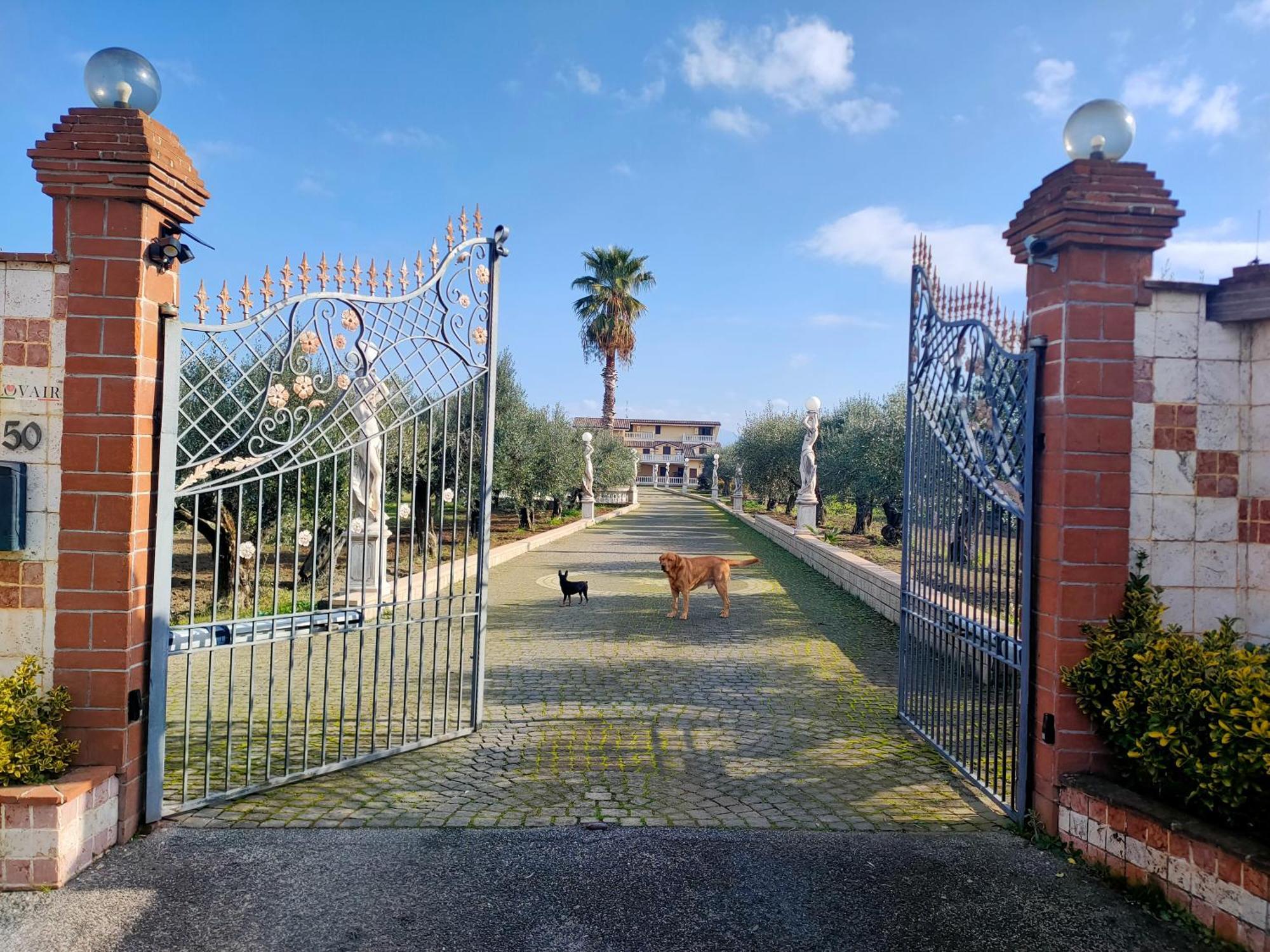 Apartment Giona